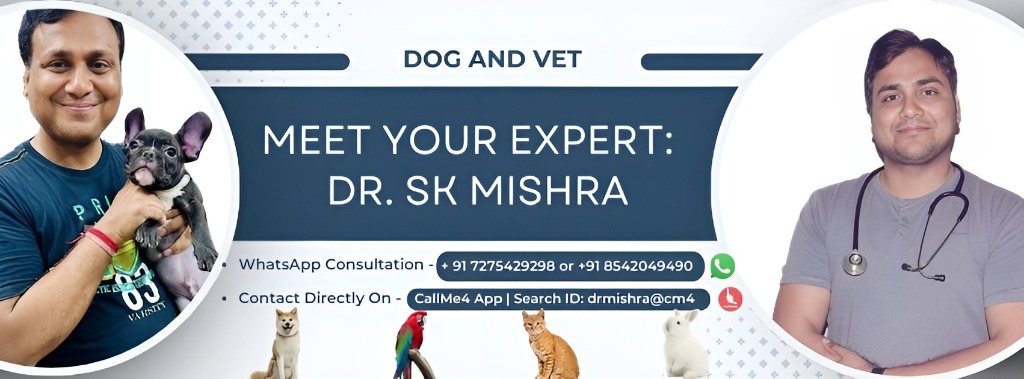 Dog and Vet YouTube Channel Banner — Dr. S. K. Mishra